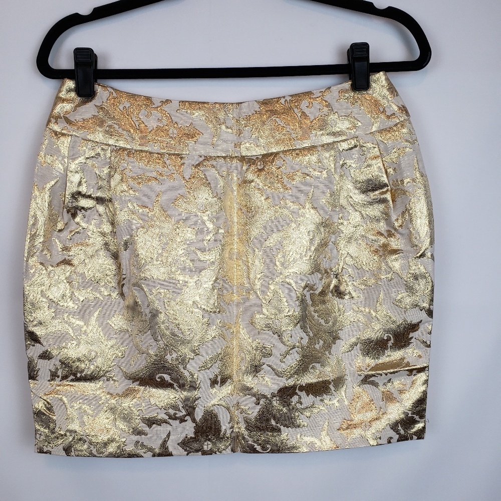 Line & Dot Damask Pleated Metallic Skirt